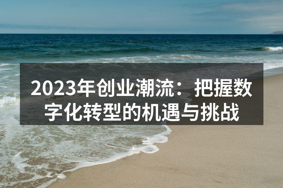 2023年创业潮流：把握数字化转型的机遇与挑战